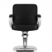 Парикмахерское кресло HAIR SYSTEM ZA31 чёрное